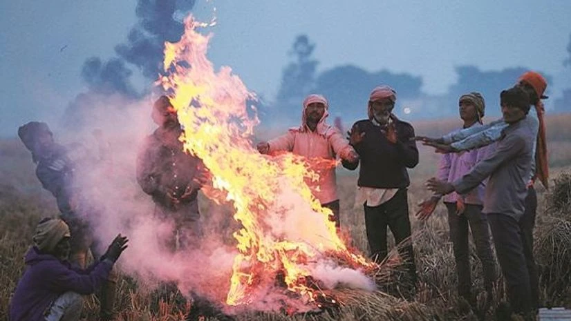 71% Indians think humans responsible for climate change, says survey 71% Indians think humans responsible for climate change, says survey