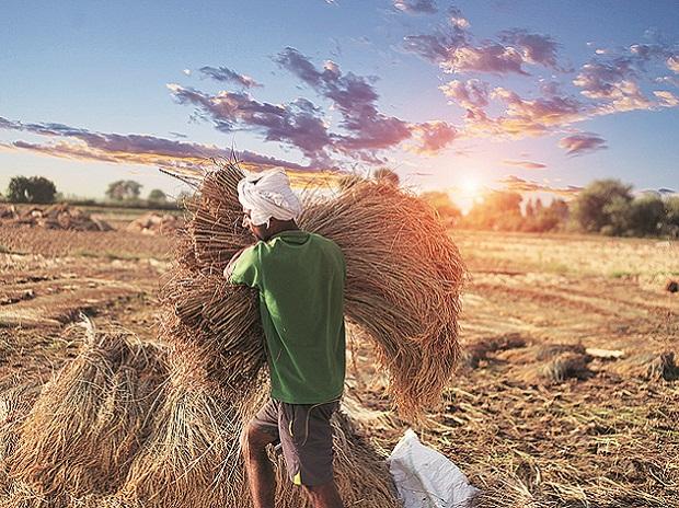 Rural India- Farm and rural sectors allocated Rs 2.83 trn and agriculture credit target for next year is set at Rs 15 trn Rural India- Farm and rural sectors allocated Rs 2.83 trn and agriculture credit target for next year is set at Rs 15 trn