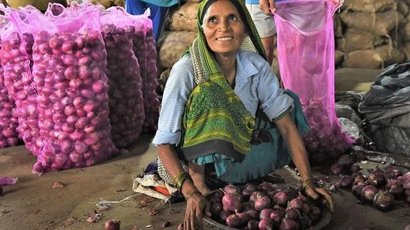 Onion, onion price Onion