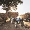 Agriculture, farm