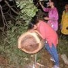 People enter in to the metro car shed on the spot during tree cutting at Aarey colony in Mumbai late Friday, Oct 4, 2019