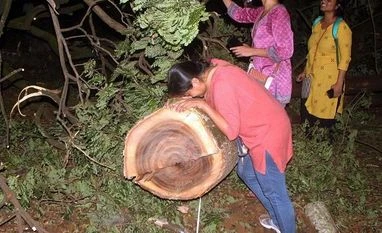 Don't cut any more trees in Aarey till Oct 21: SC tells Maharashtra govt aarey colony, aarey protest