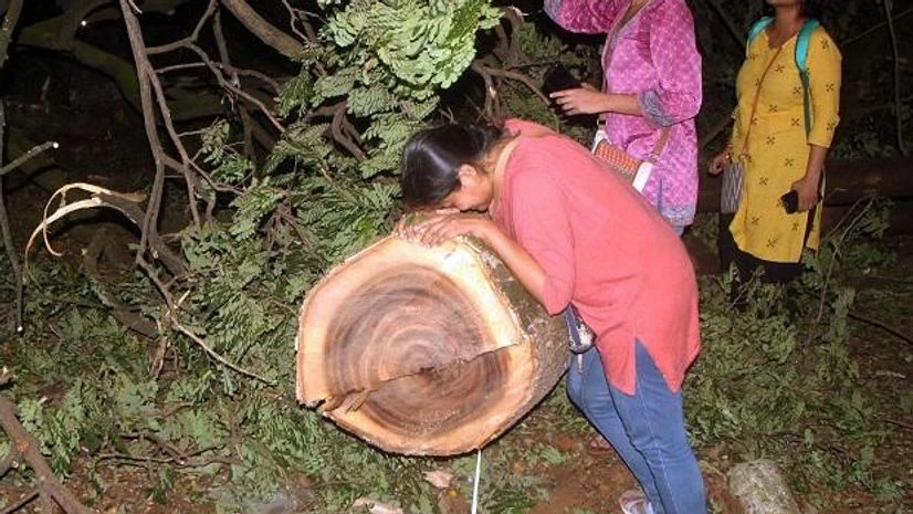 aarey colony, aarey protest People enter in to the metro car shed on the spot during tree cutting at Aarey colony in Mumbai late Friday, Oct 4, 2019
