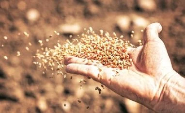 Mahyco's arm plans to raise $20 million from International Finance Corp The fundraising will be part of the $26 million that Mahyco International has earmarked to expand its cotton business in sub-Saharan Africa and rice and eggplant business in Asia