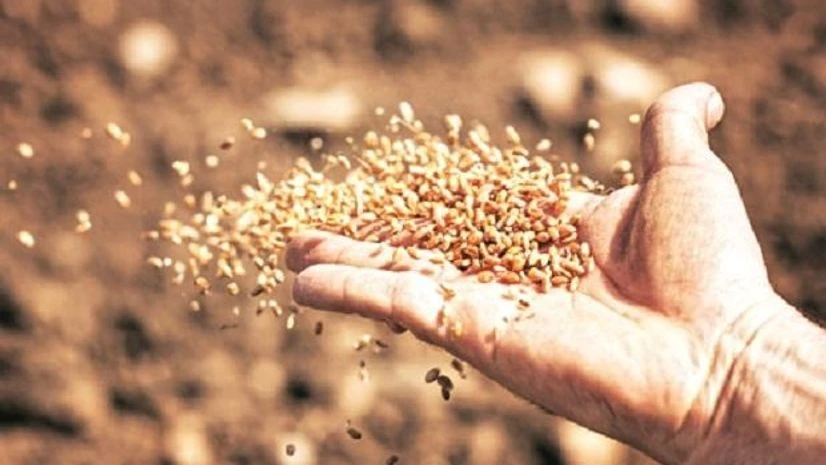 The fundraising will be part of the $26 million that Mahyco International has earmarked to expand its cotton business in sub-Saharan Africa and rice and eggplant business in Asia The fundraising will be part of the $26 million that Mahyco International has earmarked to expand its cotton business in sub-Saharan Africa and rice and eggplant business in Asia