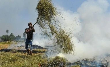 Govt revises crop residue management guidelines Ambala: A farmers burns paddy stubbles in a field in a village in Ambala district, Tuesday, Oct. 8, 2019. (PTI Photo) (