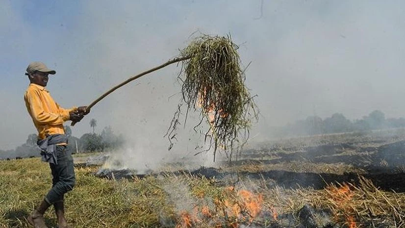 Ambala: A farmer burns paddy stubbles in a field in a village in Ambala district, Tuesday, Oct. 8, 2019. (PTI Photo) ( Ambala: A farmer burns paddy stubbles in a field in a village in Ambala district, Tuesday, Oct. 8, 2019. (PTI Photo) (