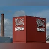 Nestle Nestle