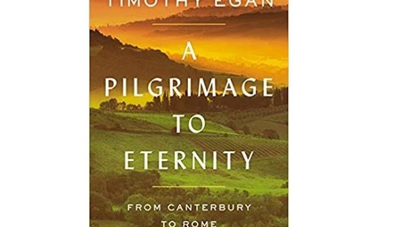 Credits: Amazon.in Credits: Amazon.in