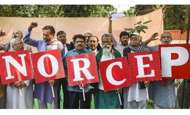 Domestic issues important, but we'd love to see India in RCEP: NZ minister rcep