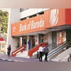 Bank of Baroda launches green term deposit scheme with 7.15% interest Bank of Baroda