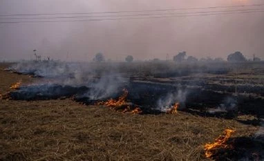 'Haryana taking steps to convert paddy straw in income source for farmers' stubble burning