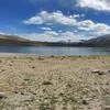 Tso Moriri in Ladakh. Photo: Khalid Anzar