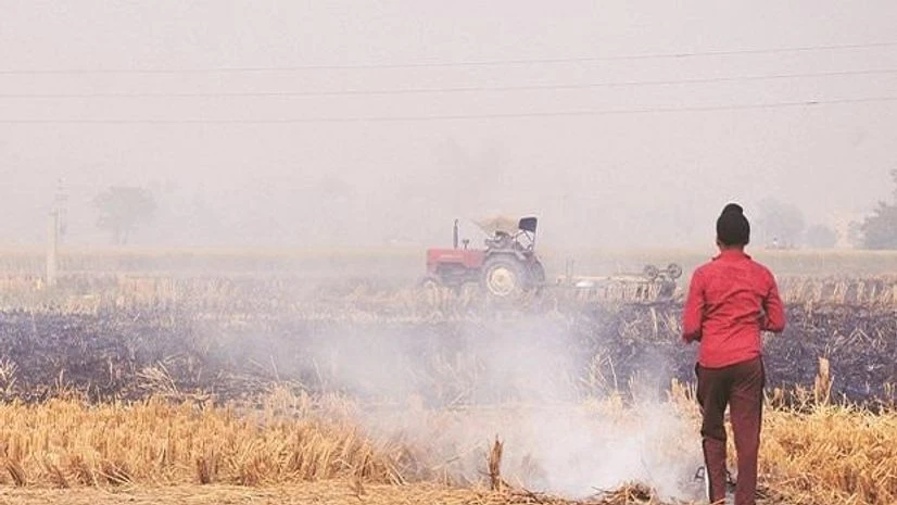Punjab, Haryana announce Rs 2,500 an acre incentive to stop stubble burning Punjab, Haryana announce Rs 2,500 an acre incentive to stop stubble burning