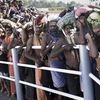 Sabarimala: Devotees stand in a queue to offer prayers at Lord Ayyappa temple on the 1st day of Malayalam month of 'Vrischikom,' in Sabarimala, Sunday, Nov 17, 2019. (PTI Photo)
