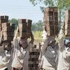 Forced labour is rampant at brick kilns across the country
