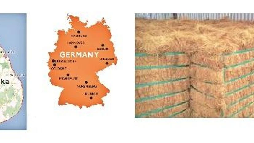 image The Strategist Quiz 643