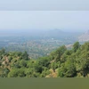 Aravalli, Rajasthan, desertification,