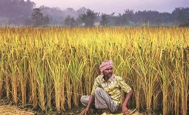 Govt okays changes to crop insurance scheme, makes it optional for farmers agriculture