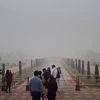 Winter, smog, fog, pollution, air, Taj Mahal, climate, Tourist