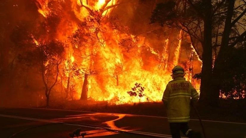Australia, Forest fire, firefighter, Source: Twitter