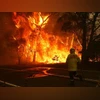 Australia, Forest fire, firefighter, Source: Twitter