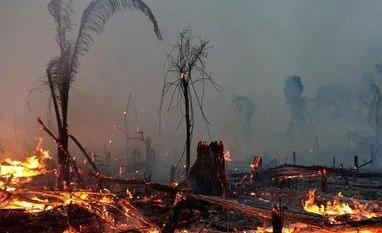 World Coronavirus Dispatch: Amazon fires could further worsen Brazil cases Amazon fire