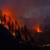 Death toll from devastating wildfires in US West Coast approaching 30
