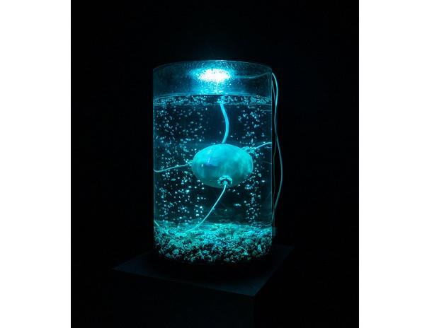 ArchaeaBot by British artists Anna Dumitriu and Alex May