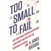 Cover of Too Small To Fail: Why Some Small Nations Outperform Larger Ones And How They Are Reshaping The World