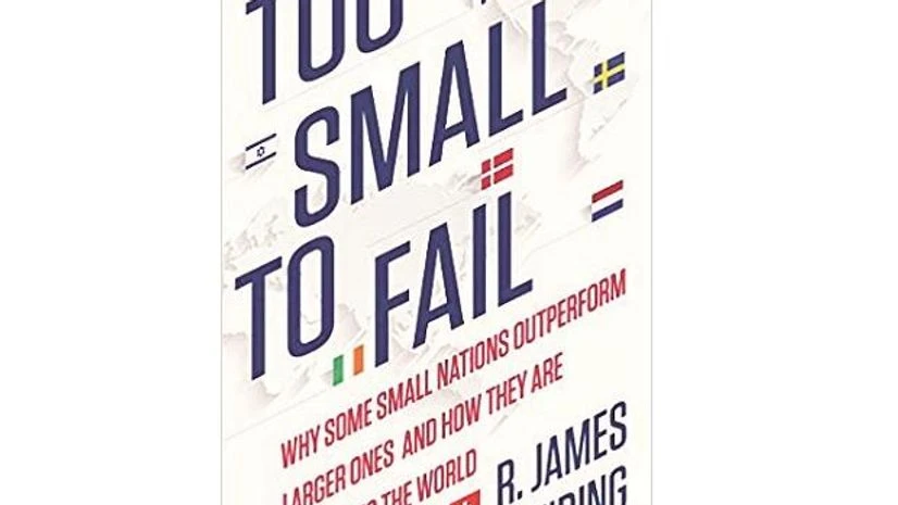 Cover of Too Small To Fail: Why Some Small Nations Outperform Larger Ones And How They Are Reshaping The World Cover of Too Small To Fail: Why Some Small Nations Outperform Larger Ones And How They Are Reshaping The World
