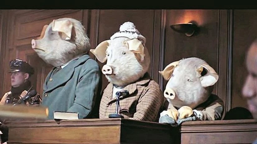 Three Little Pigs Three Little Pigs