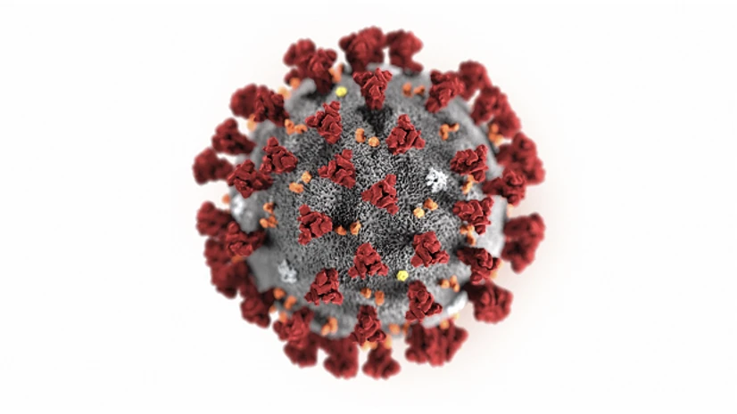 coronavirus This illustration provided by the Centers for Disease Control and Prevention in January 2020 shows the 2019 Novel Coronavirus (2019-nCoV). Photo: PTI