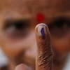 election