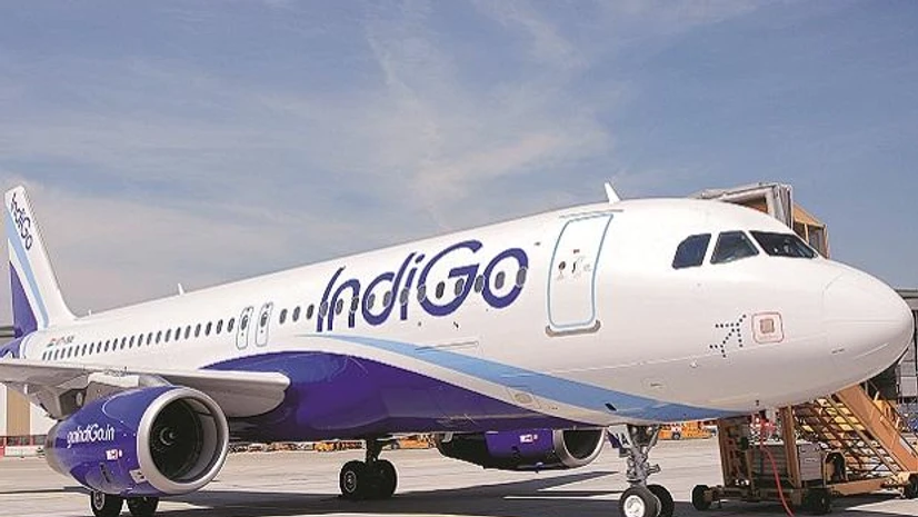 indigo indigo