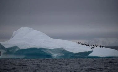 India can be 'global superpower' in fighting climate change: Guterres ANTARCTICA, PENGUIN, CLIMATE, GLACIER, SNOW, TEMEPERATURE, GLOBAL WARMING, POLLUTION, ENVIRONMENT