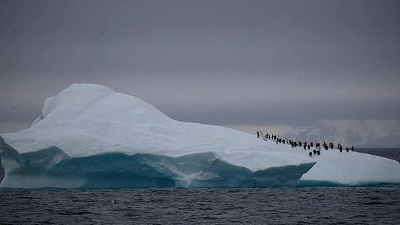 ANTARCTICA, PENGUIN, CLIMATE, GLACIER, SNOW, TEMEPERATURE, GLOBAL WARMING, POLLUTION, ENVIRONMENT ANTARCTICA, PENGUIN, CLIMATE, GLACIER, SNOW, TEMEPERATURE, GLOBAL WARMING, POLLUTION, ENVIRONMENT