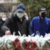 Coronavirus, health, epidemic