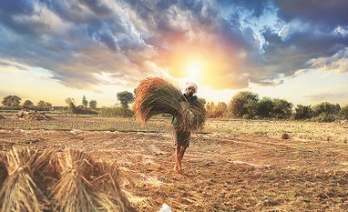 India's 10,000 farmers-collective plan may fail without funding reforms farmer
