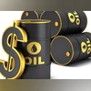 India urges US to ease Iran oil sanctions to offset reduced Russian imports