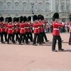 buckingham palace, change of guard