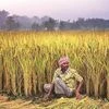 farm insurance