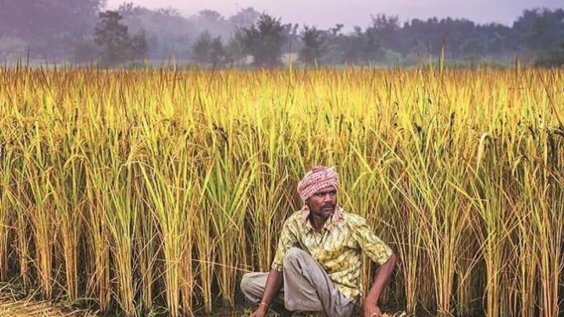 farm insurance farm insurance