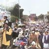 AAP