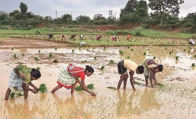 Uttar Pradesh's farm exports increase 5% to Rs 19,000 crore in FY23 Govt plan to set up 10,000 groups to promote farm produce needs pruning