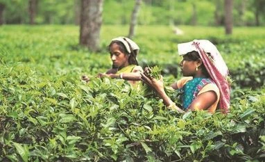 The curious case of an upset FM and an apologetic banker Chart