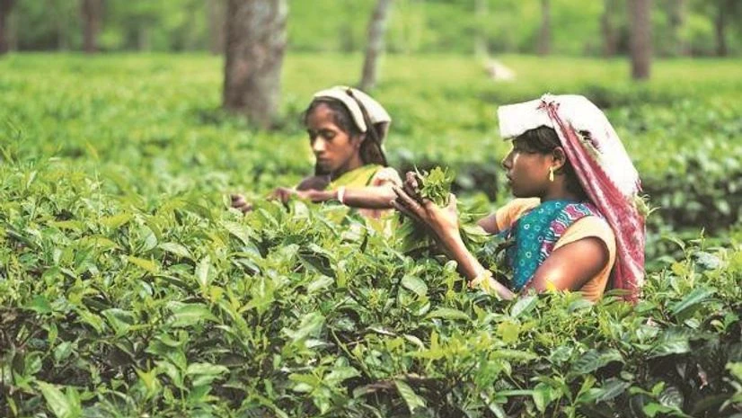 Chart The curious case of an upset FM & an apologetic banker