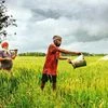 Agriculture