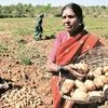 agri produce, farmers, agriculture