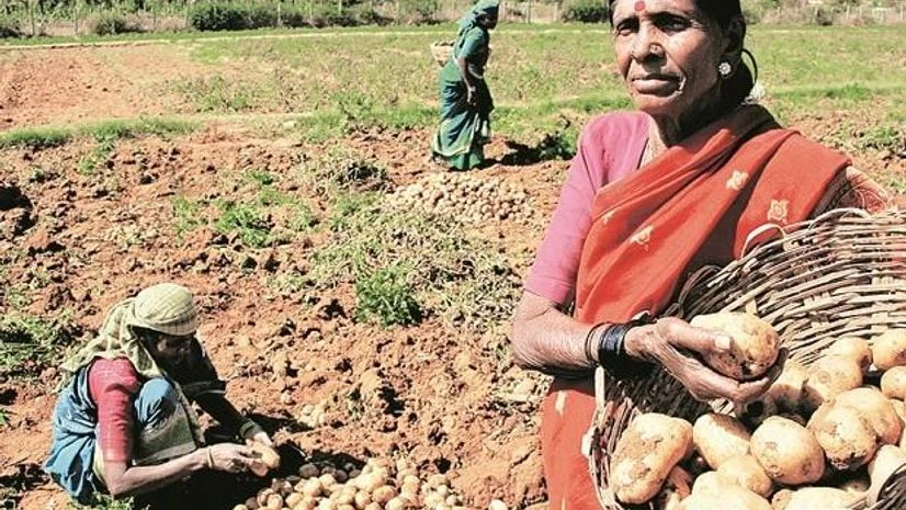 agri produce, farmers, agriculture agri produce, farmers, agriculture